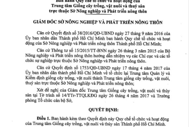 Ban hành quy chế 