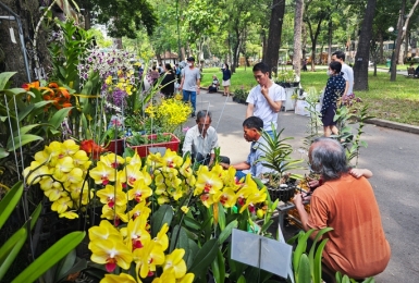 Phát triển tam nông ở TP HCM (*): Hướng đến nông nghiệp đô thị